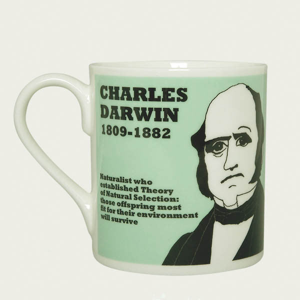 Charles Darwin mug by Cole of London